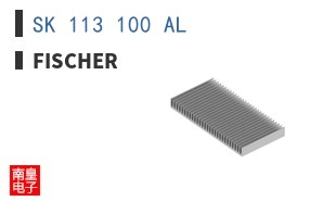 SK 113 100 AL