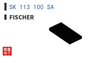 SK 113 100 SA