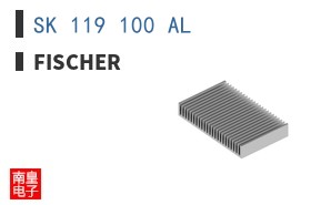 SK 119 100 AL