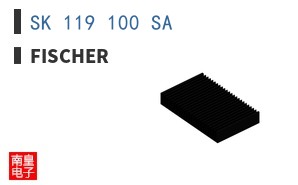 SK 119 100 SA