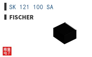 SK 121 100 SA