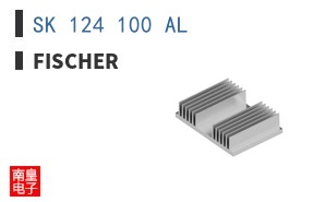 SK 124 100 AL