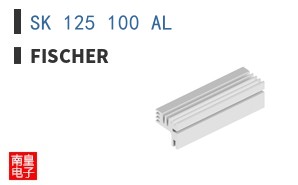 SK 125 100 AL