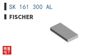 SK 161 300 AL