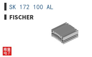 SK 172 100 AL
