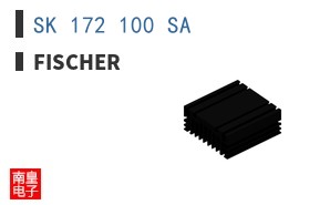 SK 172 100 SA