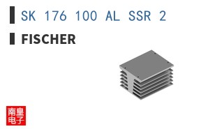 SK 176 100 AL SSR 2