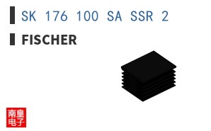 SK 176 100 SA SSR 2