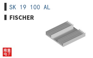 SK 19 100 AL