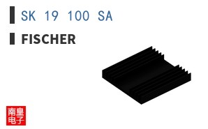 SK 19 100 SA