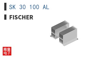 SK 30 100 AL