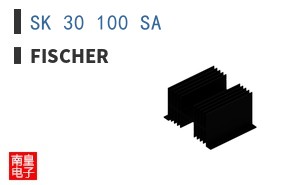 SK 30 100 SA