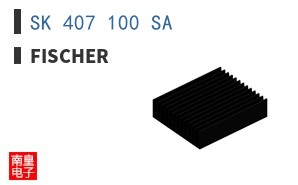 SK 407 100 SA