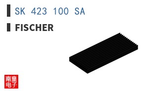SK 423 100 SA