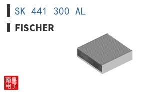 SK 441 300 AL