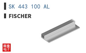 SK 443 100 AL