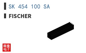 SK 454 100 SA