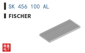 SK 456 100 AL
