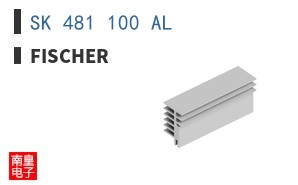 SK 481 100 AL