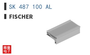 SK 487 100 AL