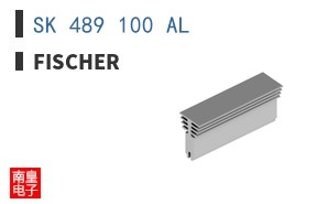 SK 489 100 AL