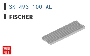 SK 493 100 AL