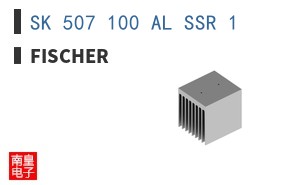 SK 507 100 AL SSR 1