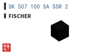 SK 507 100 SA SSR 2