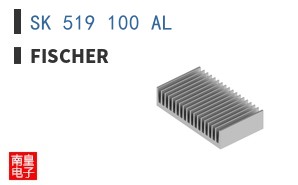 SK 519 100 AL