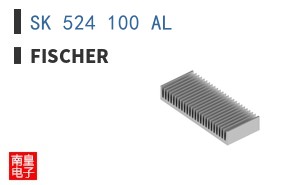SK 524 100 AL