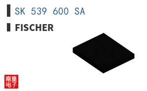 SK 539 600 SA
