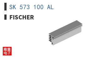 SK 573 100 AL