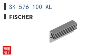 SK 576 100 AL