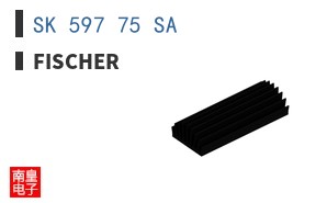 SK 597 75 SA