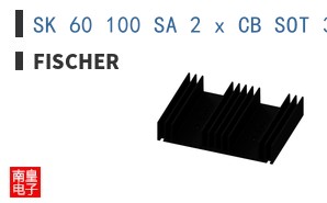 SK 60 100 SA 2 x CB SOT 32