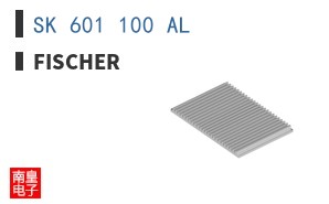 SK 601 100 AL