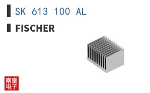 SK 613 100 AL
