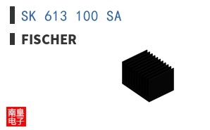 SK 613 100 SA
