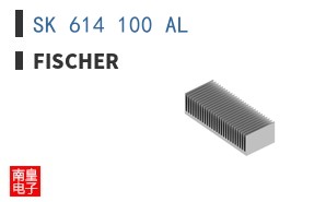 SK 614 100 AL