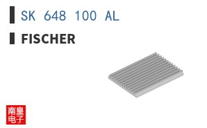 SK 648 100 AL