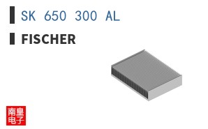 SK 650 300 AL