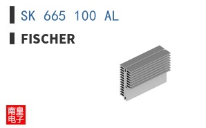 SK 665 100 AL