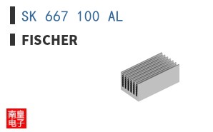 SK 667 100 AL