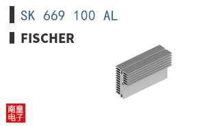 SK 669 100 AL