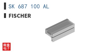 SK 687 100 AL