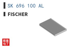 SK 696 100 AL
