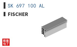 SK 697 100 AL