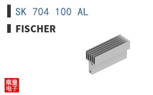 SK 704 100 AL