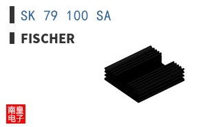 SK 79 100 SA