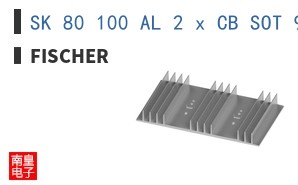 SK 80 100 AL 2 x CB SOT 9